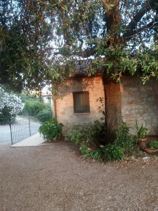 Case Cordovani Magliano in Toscana