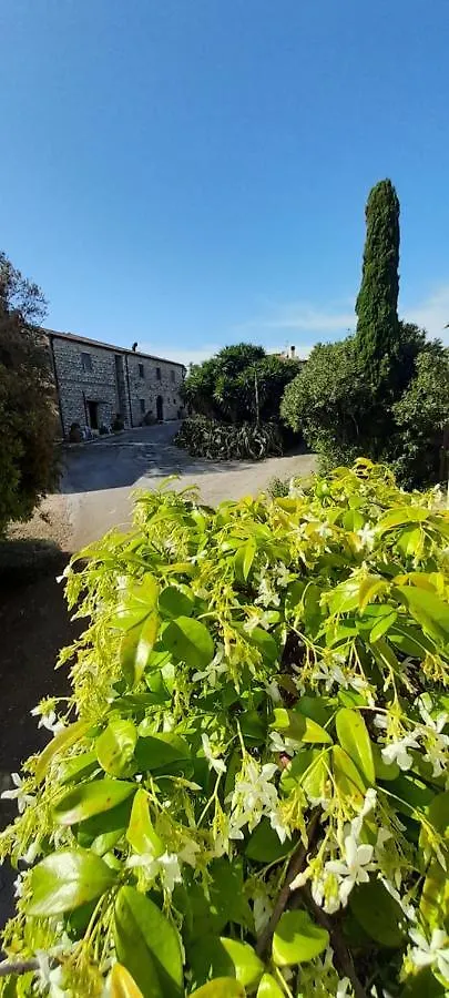 Case Cordovani Magliano in Toscana Itálie