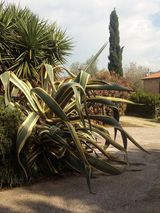 Case Cordovani Magliano in Toscana Italië